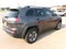 2019 Jeep Cherokee Trailhawk Elite 4x4