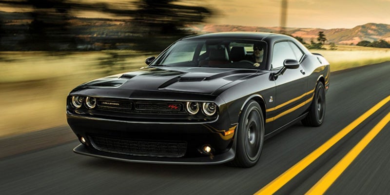 A Dodge Challenger Running on roadbetween trees